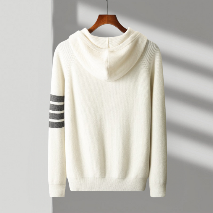 Hudson Striped Sleeve Knit Hoodie