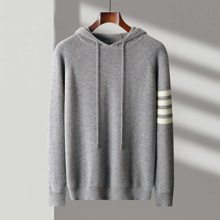 Hudson Striped Sleeve Knit Hoodie