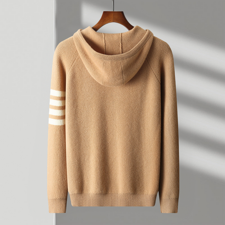 Hudson Striped Sleeve Knit Hoodie