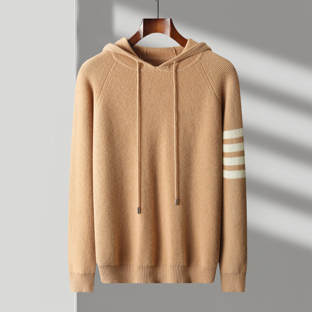 Hudson Striped Sleeve Knit Hoodie