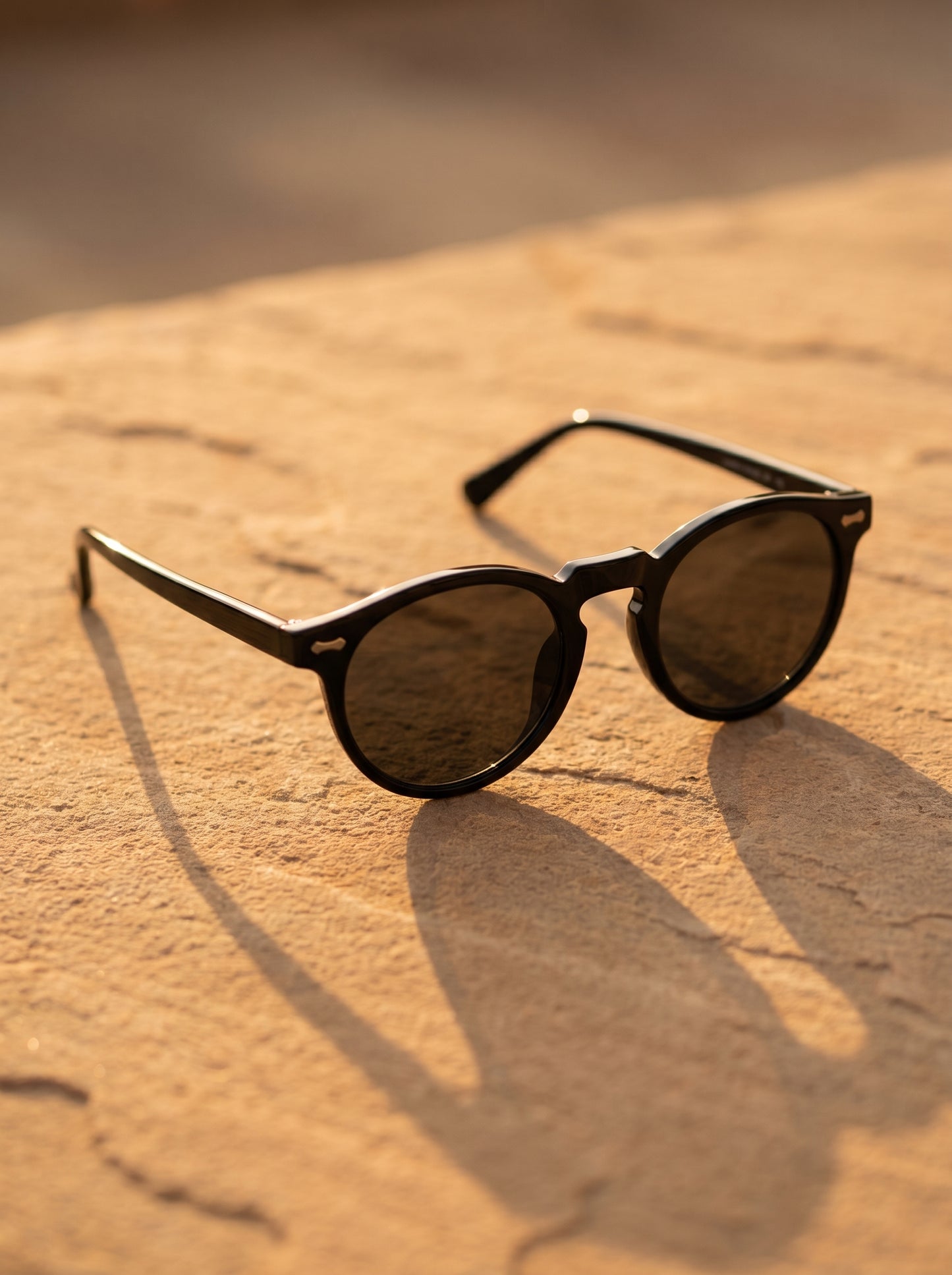 Puglia Round Men's Sunglasses