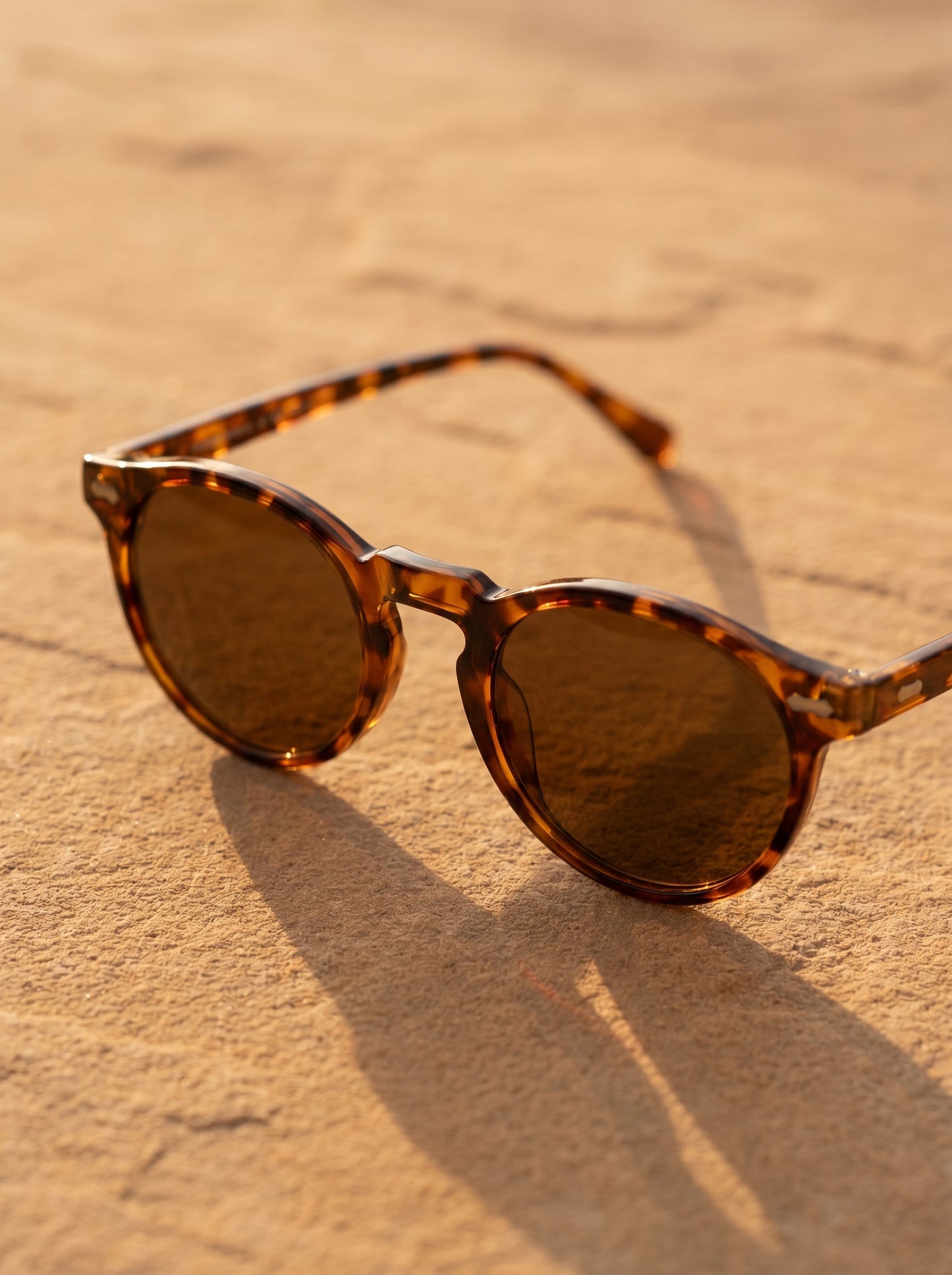 Puglia Round Men's Sunglasses